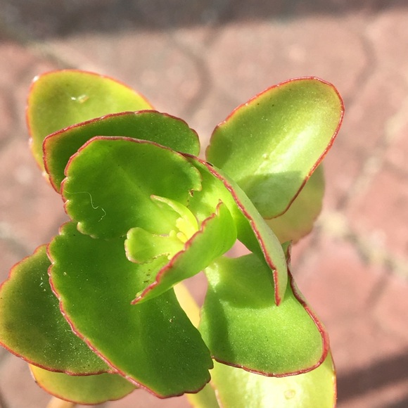 Meet your Posher, Karen - Picture 8 of 17